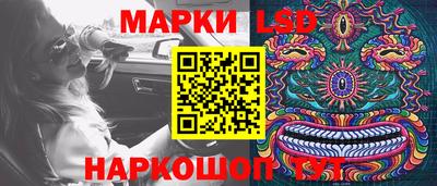 индика Будённовск