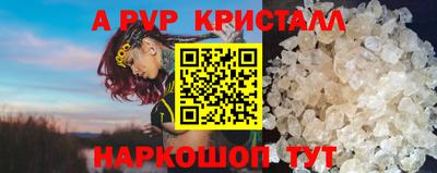 индика Будённовск