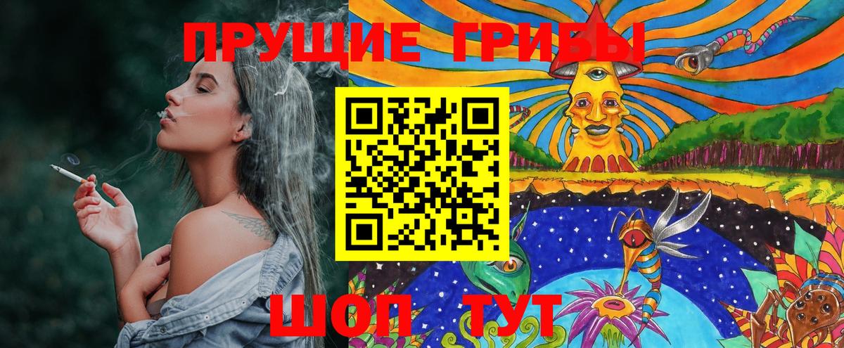 Галлюциногенные грибы MAGIC MUSHROOMS  Вход с VPN  Чайковский  Псилоцибиновые грибы Cubensis 